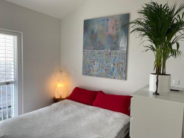 Casa Collina Apartment โลการ์โน ภายนอก รูปภาพ